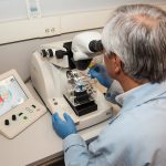 Metabolic health may affect cancer risk in obesity
