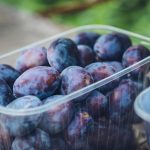 Prunes could help improve gut health in older women