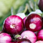 Onions may reduce body fat in overweight people
