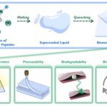 Scientists develop biodegradable, biorecyclable glass