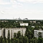 What Chornobyl dogs can tell us about survival in contaminated environments