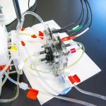 Scientists create innovative system for water purification