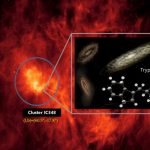 Scientists discover amino acid tryptophan in space
