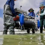 This autonomous boat could map underwater terrain