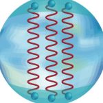 Unraveling the mysteries of neutron stars: A new dimension of understanding