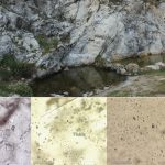 Scientists discover ancient ocean water in the Himalayas