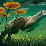 How a 23-million-year-old otter-like seal used its whiskers to forage for food
