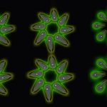 New tiny light bulbs could change the future of gadgets and medicine