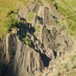 Scientists discover dinosaur party grounds in Alaska’s Denali Park