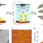 New catalyst could make energy storage easier and cheaper, shows study