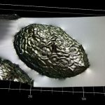 Earth’s smallest flowering plant can handle 20x earth’s gravity
