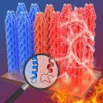 Engineered viruses could generate electricity when heated, shows study