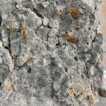 Сoconut shells could make concrete more durable, shows study