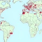 Internet activity reveals more than just web browsing, shows study