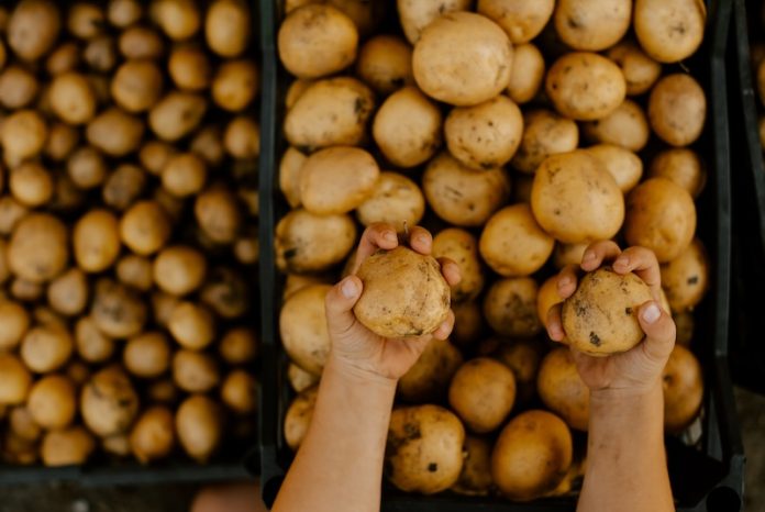 Pass the potatoes, or take a pass? Here's expert advice
