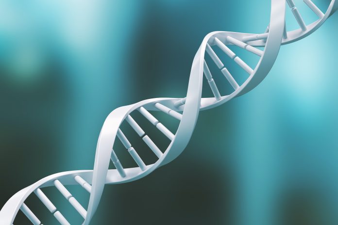 Scientists reveal 14 evolutionary dead ends for humanity