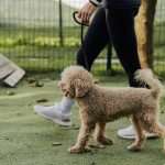 Fast walking can strongly lower risk of type 2 diabetes, study finds