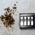 Scientists make eco-friendly organic solar cells from wood