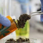 Can cannabis boost your exercise performance?