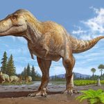 New dinosaur discovery: T. mcraeensis, a relative of the famous T-Rex