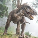 Scientists solve the mystery of young T. rex