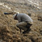 Scientists uncover our earliest ancestors in Germany