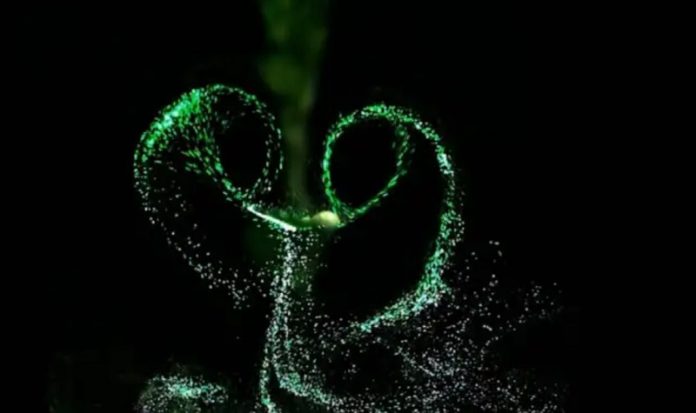 Tiny tornadoes unlock the secret whirlwinds that spread plant diseases