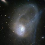 Black holes need refreshing cold gas to keep growing