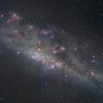 Exploring the impact of the strong force on gravitational wave signals