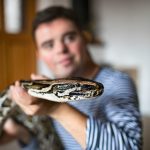 Snakes: The future of sustainable meat?