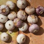 Natural supplements for heart health
