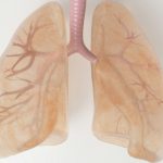 Reducing smoking does not always mean reducing lung cancer