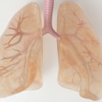 Scientists find new cause of lung cancer