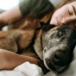 Connection between sleep apnea and high blood pressure you need to know