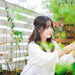 Traditional Chinese plant shows healing powers in kidney stone treatment