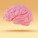 What are common causes of stroke