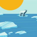 Why water slows down at low temperatures