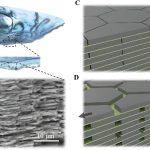 Scientists create tougher cement inspired by seashells