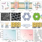Scientists develop new membrane to improve lithium extraction from salt lakes