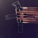 Scientists develop soft robotic hand using graphene and liquid crystals