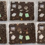 Scientists invent 100% biodegradable ‘barley plastic’