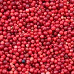 Cranberry juice proven to prevent UTIs, new study finds