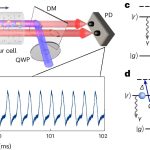 Scientists create a time crystal with giant atoms