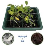 Smart soil: A new way to water and feed plants efficiently