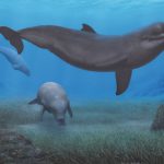 How a massive salt crisis transformed Mediterranean marine life millions of years ago