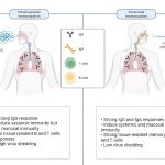 New needle-free COVID-19 nasal vaccine offers lasting protection
