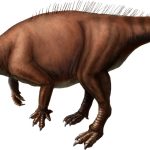 Scientists discover tiny horned dinosaur in Japan