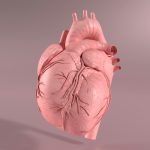 New drug shows prevent heart attacks by stopping blood clots before they form