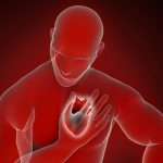 Research shows important cause of arterial blockages in the heart