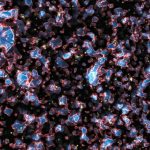 Astronomers find surprising conflict between James Webb data and universe models
